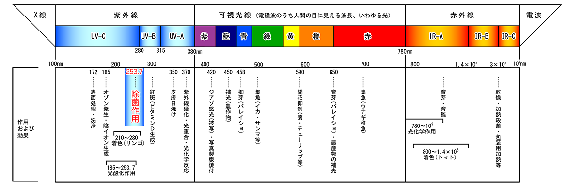 図：光の作用とその効果のイメージ